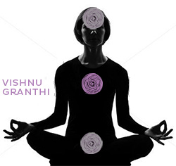 Vishnu Granthi