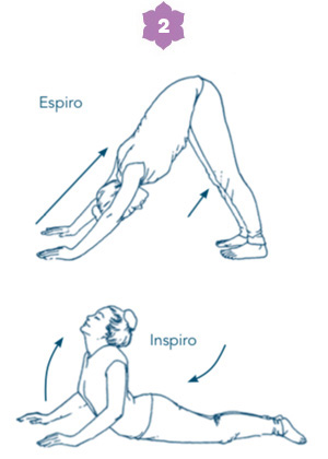 Sequenza yoga per la donna