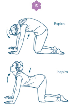 Sequenza yoga per la donna