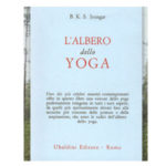 alberoyoga