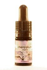 cherry-plum-5-ml_42655