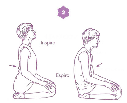 Sequenza yoga per l'energia della spina dorsale - posizione 2