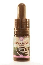 honeysuckle-5-ml_42662