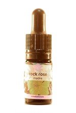 rock-rose-5-ml_42660