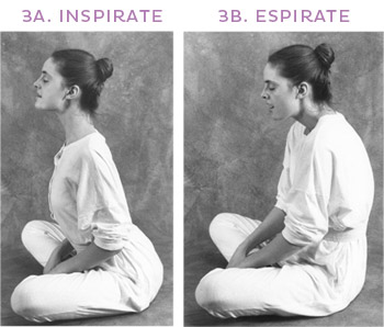 Yoga per il sistema nervoso 3