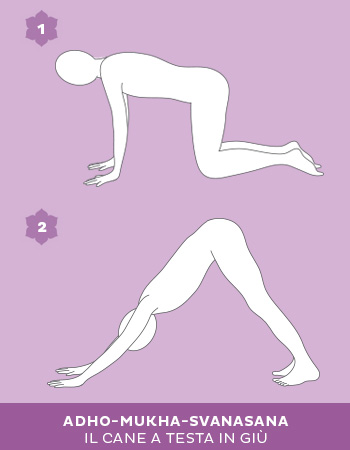 Adho-Mukha-Svanasana