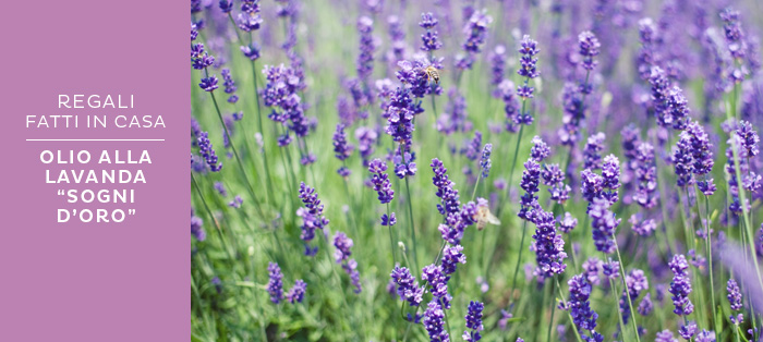 Fare in casa l'olio alla lavanda
