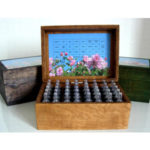 Set di 40 Fiori di Bach