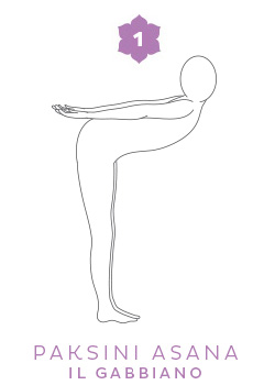 Paksini asana, la posizione del gabbiano