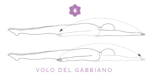 Pranayama: volo del gabbiano