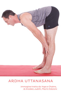Ardha Uttanasana, posizione yoga