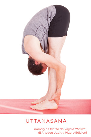 come fare uttanasana, la posizione di allungamento in avanti in piedi