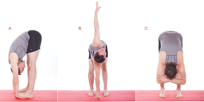 Varianti di Uttanasana