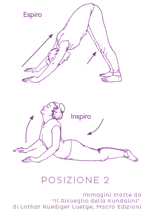 Sequenza di yoga per allineamento 2