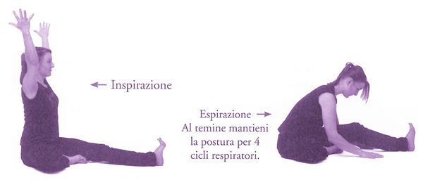 Variante di Janu Sirsasana