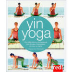 Yi Yoga, libro