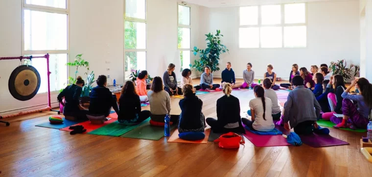 seminario-scimmia-yoga-vinyasa