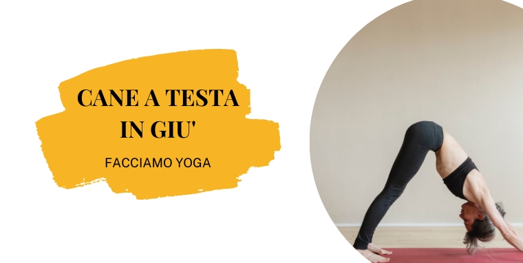 Posizione del cane a testa in giu- yoga