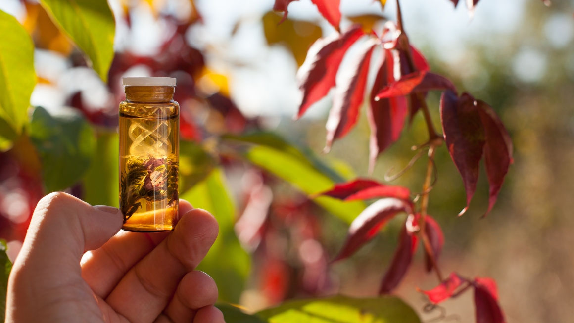 Yoga e Fiori di Bach: per chi non vive nel presente