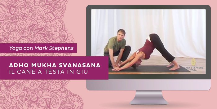 video-adho-mukha-svanasana video-adho-mukha-svanasana