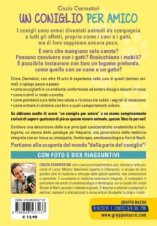 Un Coniglio per Amico
