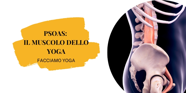 psoas-il-muscolo-dello-yoga