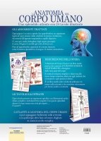 L'Anatomia del Corpo Umano