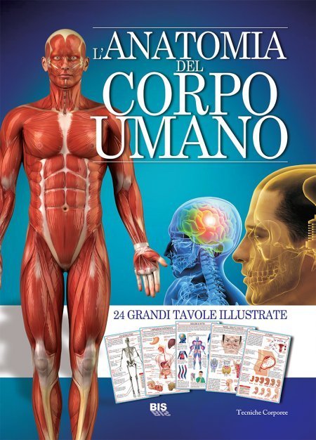 l-anatomia-del-corpo-umano.jpg