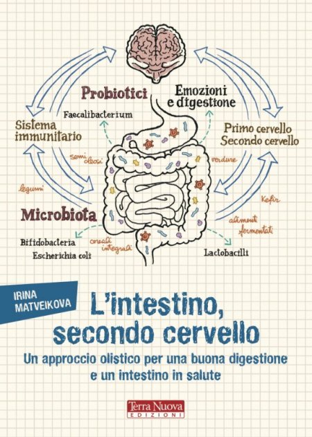 l-intestino-secondo-cervello-un-approccio-olistico-per-una-buona-digestione.jpg
