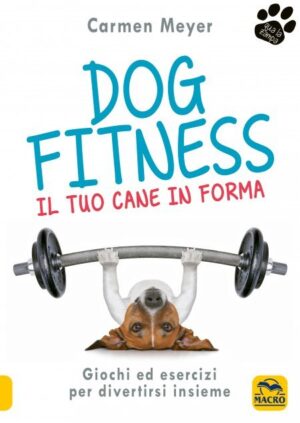 Dog Fitness