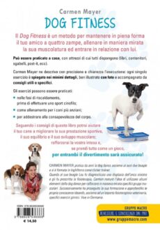 Dog Fitness