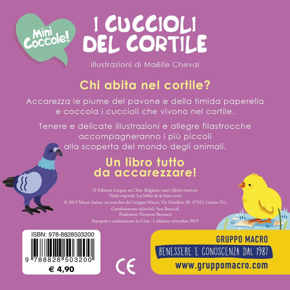 quarta_cuccioli_del_cortile_7431