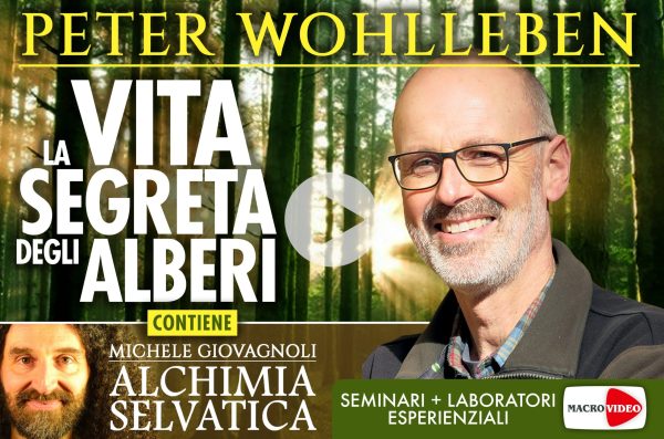 Vita Segreta degli Alberi – Videocorso