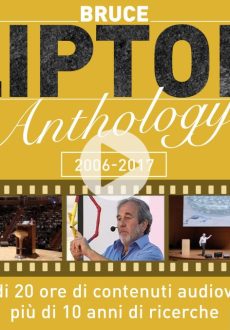 Lipton Anthology - Videocorso