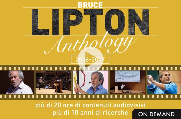 Lipton Anthology – Videocorso