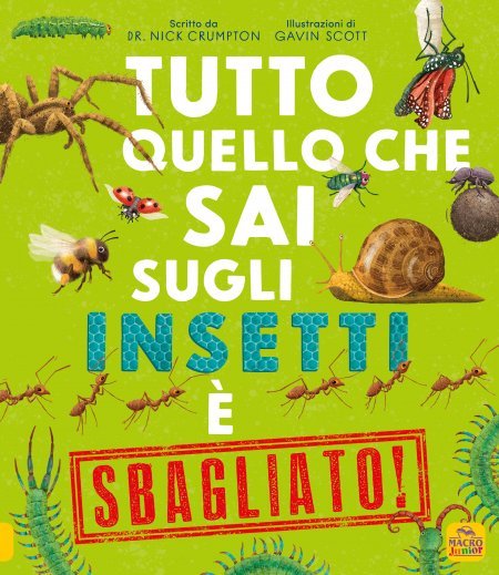 tutto-quello-che-sai-sugli-insetti-e-sbagliato