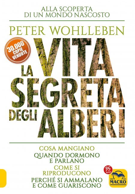 la-vita-segreta-degli-alberi1