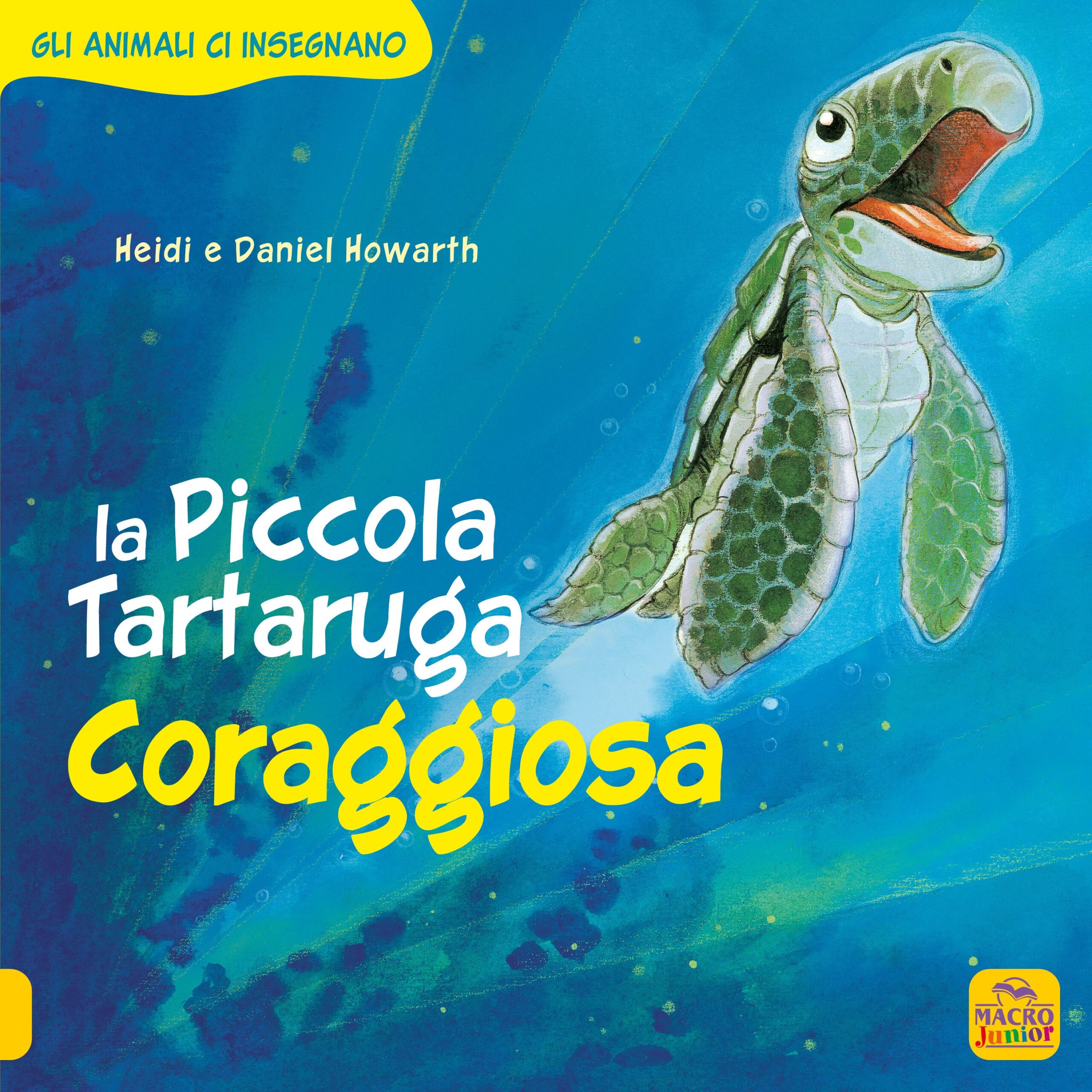 piccola-tartaruga-coraggiosa-27416