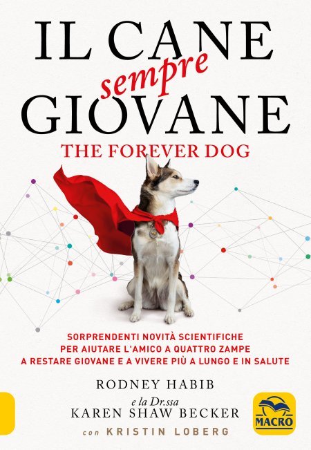 Il cane sempre giovane