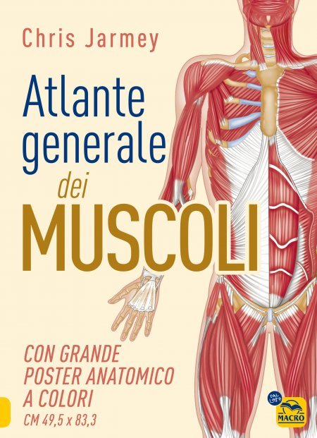 Libro atlante generale dei muscoli