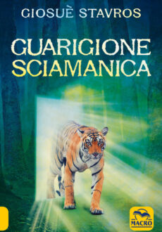 Guarigione Sciamanica