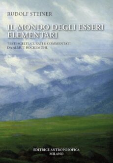 Il Mondo degli Esseri Elementari