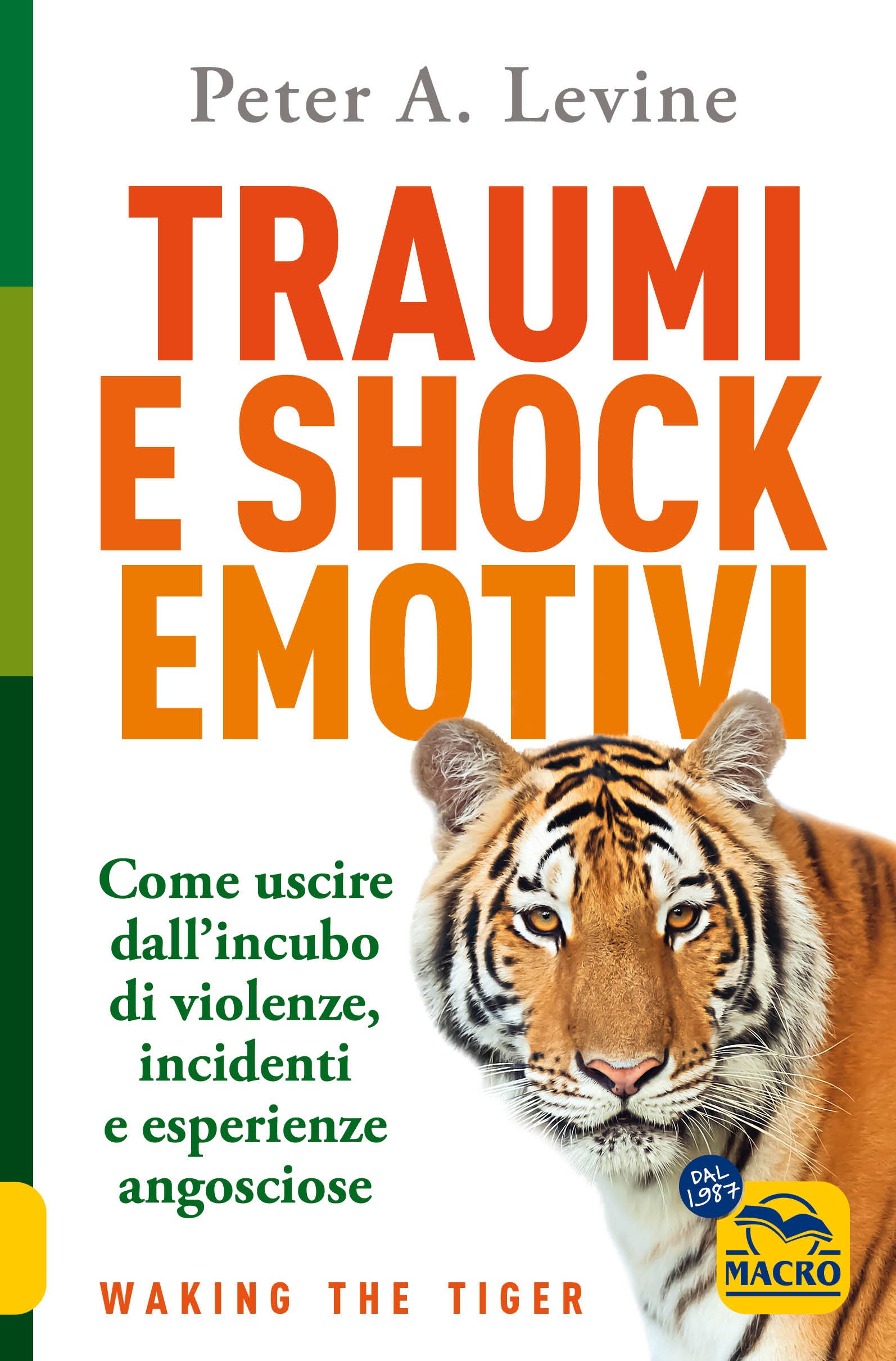 traumi-e-shock-emotivi