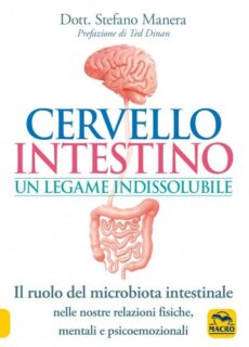 cervello-intestino-un-legame-indissolubile-47628