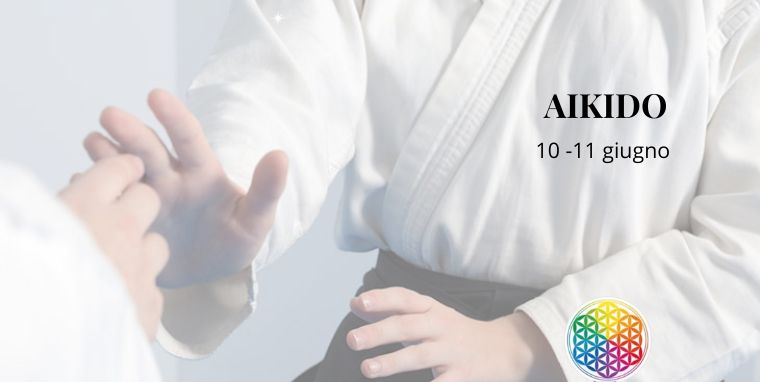 seminario di aikido