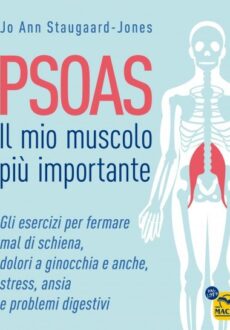 PSOAS - Il Mio Muscolo più Importante