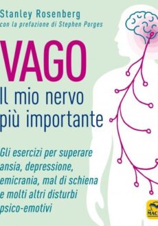 vago-il-mio-nervo-piu-importante