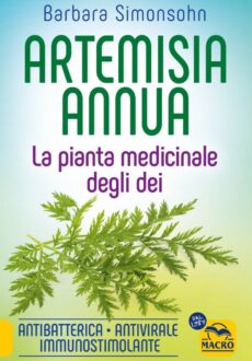 Artemisia Annua