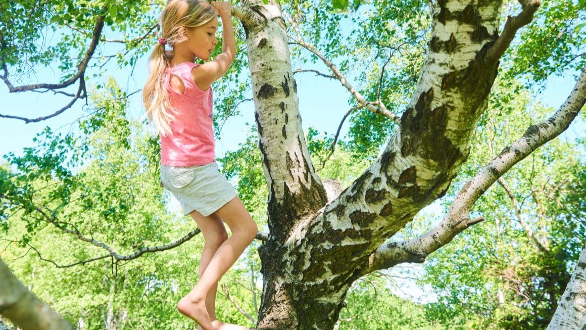 Vita In armonia con la natura