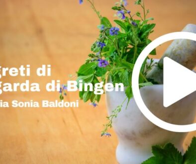 i segreti di ildegarda di bingen